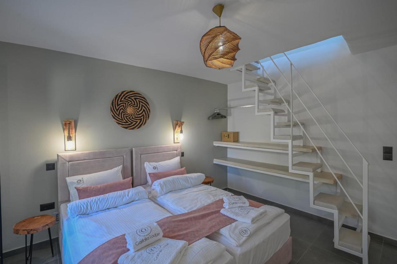Villa Garifalia With Sauna & Hydromassage Χανιά Εξωτερικό φωτογραφία
